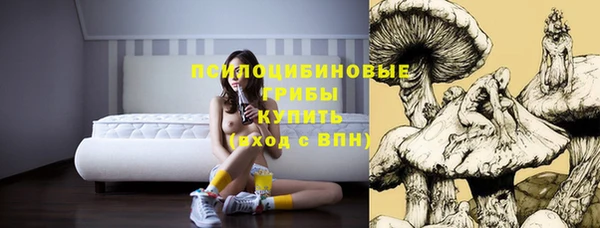 тгк Алексин