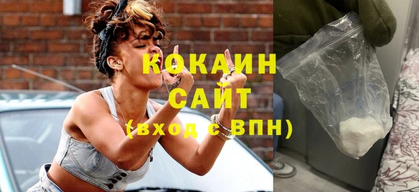 тгк Алексин
