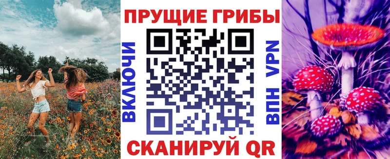 купить наркоту  Карачаевск  Псилоцибиновые грибы мухоморы 